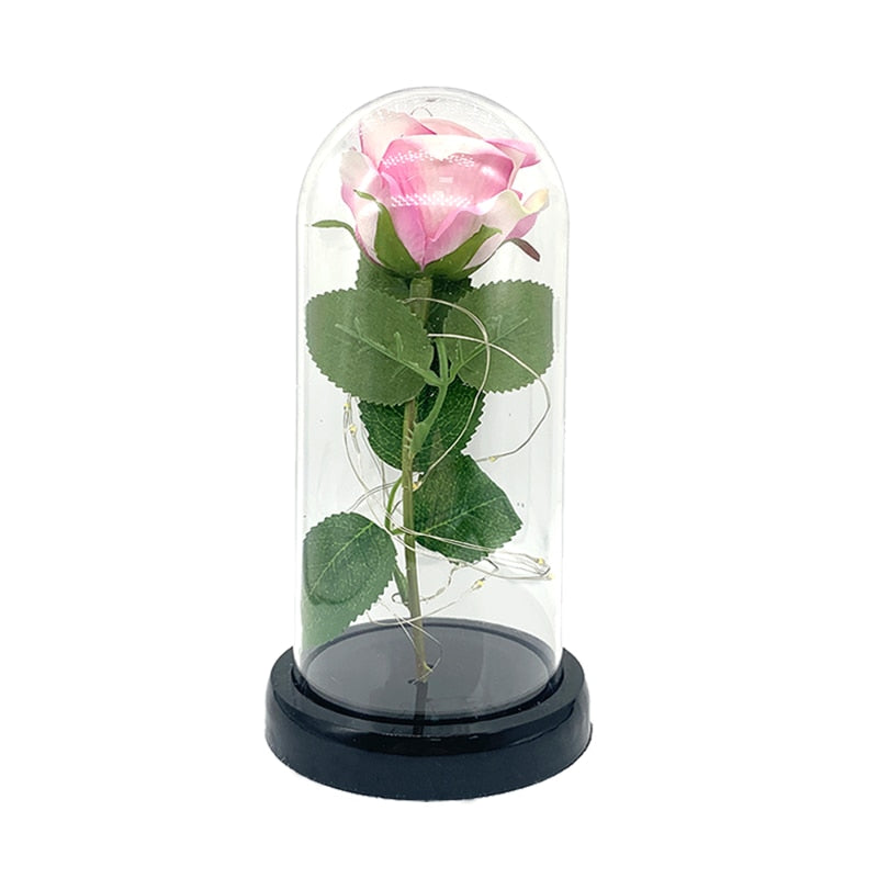 Rose In LED Dome